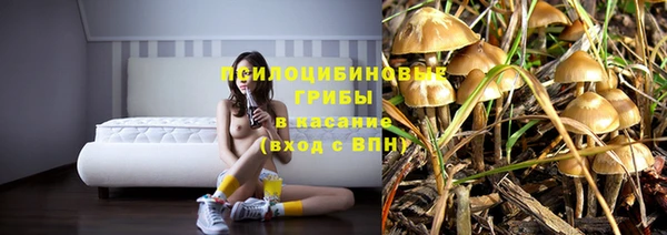 мдпв Армянск